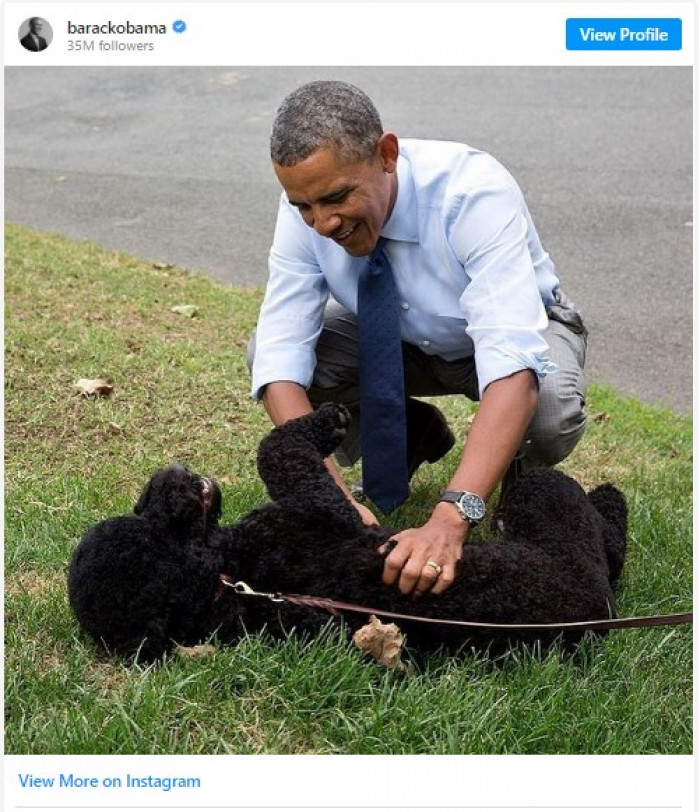 7. Former President Barack Obama and his dog, Bo.