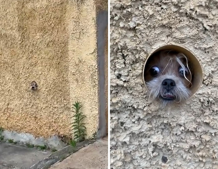 39. Maybe he thinks he's a spy or something...