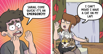 Four Cats Have Their Relatable Story Told By UK Artist