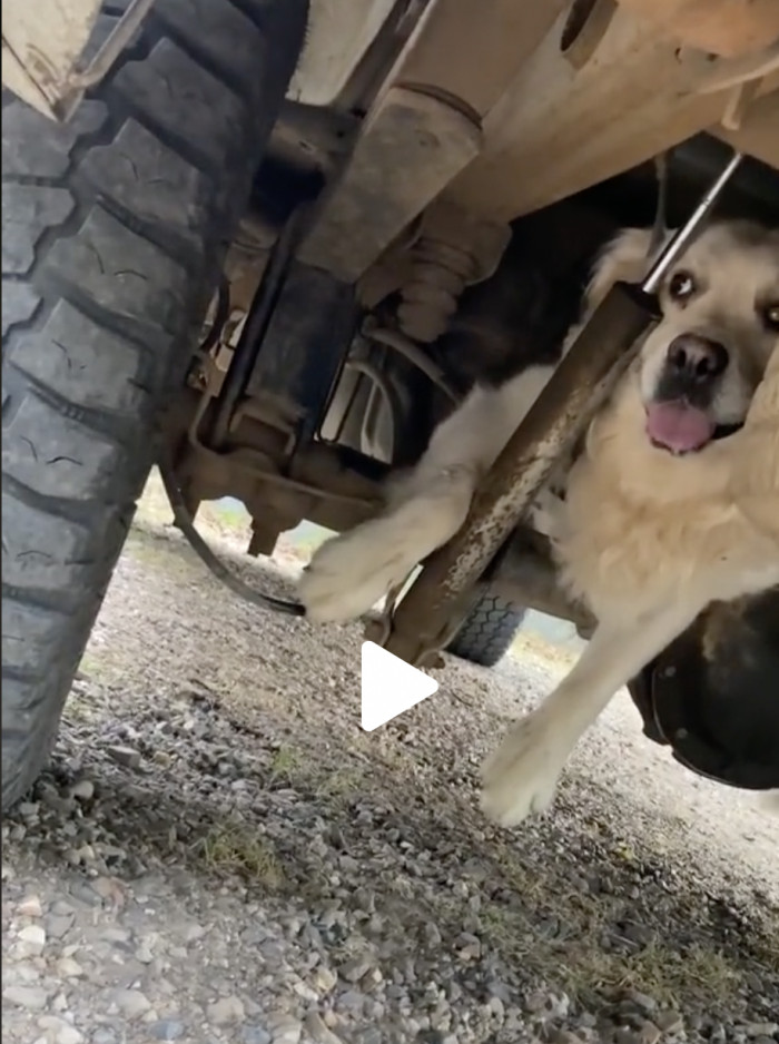 Look your dad in the eye, Albus, and tell him why exactly you are hiding