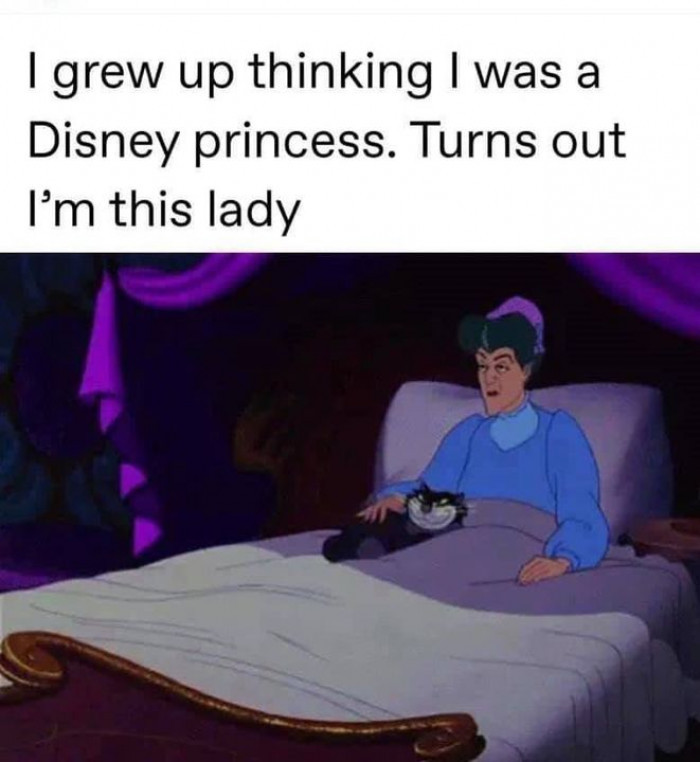 29 Disney Memes That Are Practically Too Funny For Words