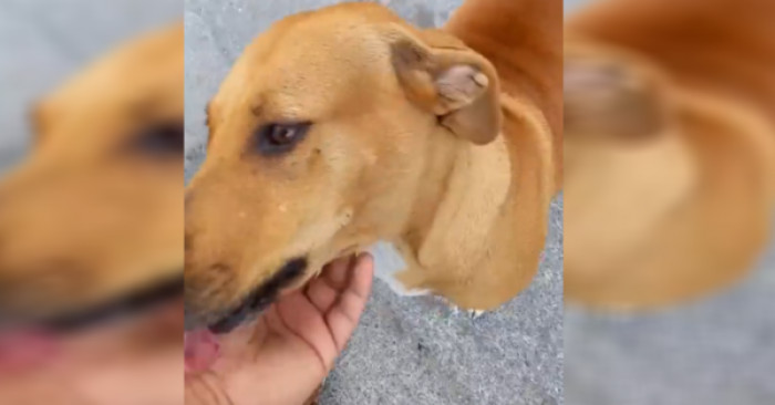 This Is Not the End of Their Friendship.