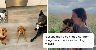 This Special Dog Was Born With An Unusually Short Spine But She Knows She's Capable Of Anything