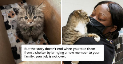 20+ Incredible Pet Adoption Stories That Will Brighten Up Your Day