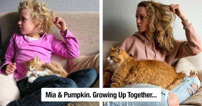 Side By Side Pictures Of Cats When They Were Kittens Are Too Purrfectly Precious