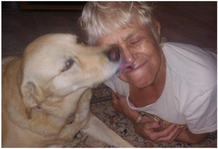 Susan Marciano is a brave 74-year-old woman who dearly loves her pet, a Golden Retriever named Nalu. Susan and Nalu went for their usual morning walk, but this time it was a little too early. They headed to their usual spot at Boca Raton in Florida, close to their home. As soon as they arrived at the lake's promenade in Burt Aaronson Park, Susan took off Nalu's leash and let her run around and enjoy.