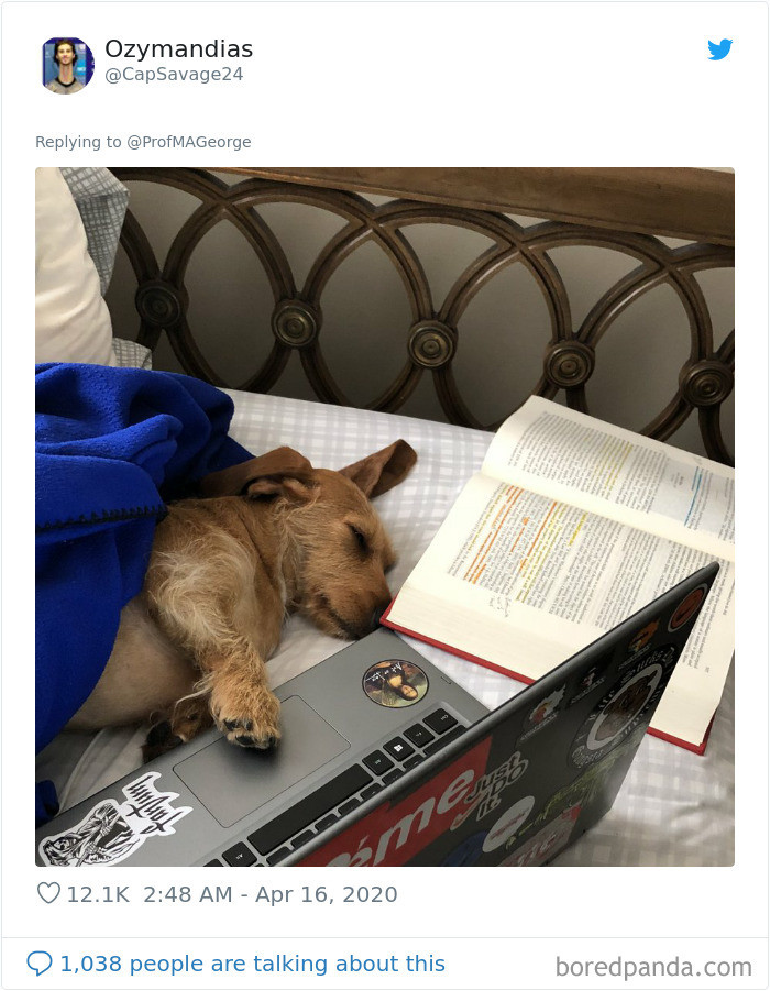 9. Lazy boy taking a nap instead of studying