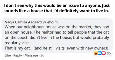 14 Stories Shared By People On The Internet That Tell Us What Cats Do When They Leave The House