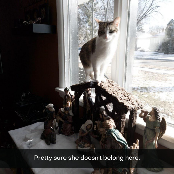 20. "Nativity Scene? I'm the only scene you need."