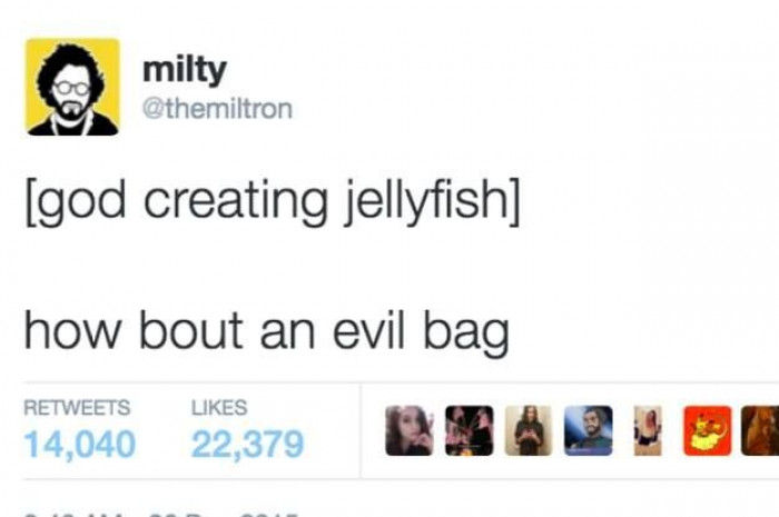 7. Jellyfish