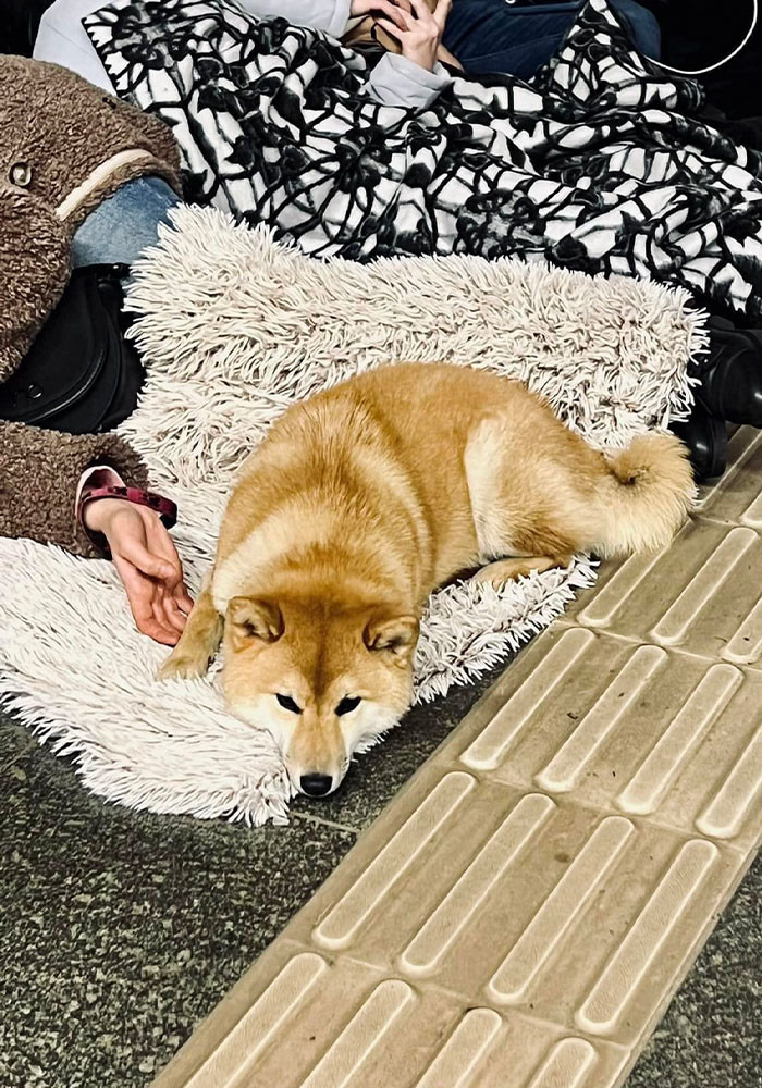 #17 This beauty is definitely going with me to the shelter