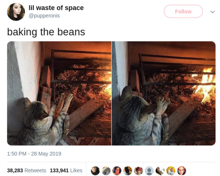 23. Toasty Beans