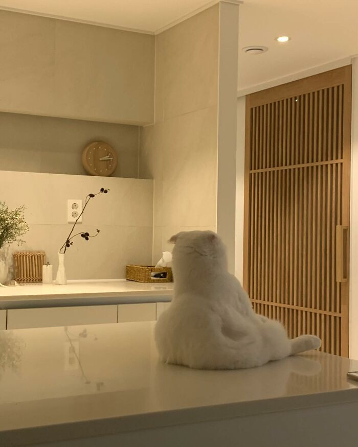 Makji also gets on Muji's nerves.
