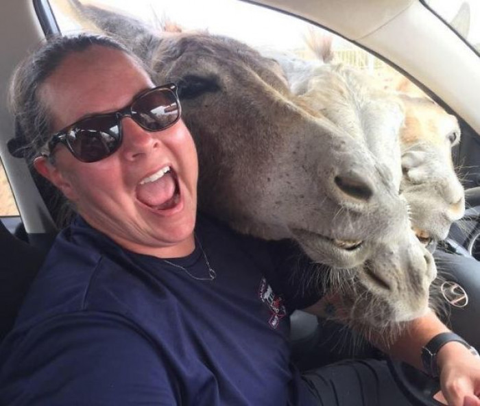 6. Thanks for invading my privacy