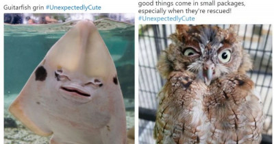 Zoos Share Photos Of Some Of Their Most Unexpectedly Cute Residents