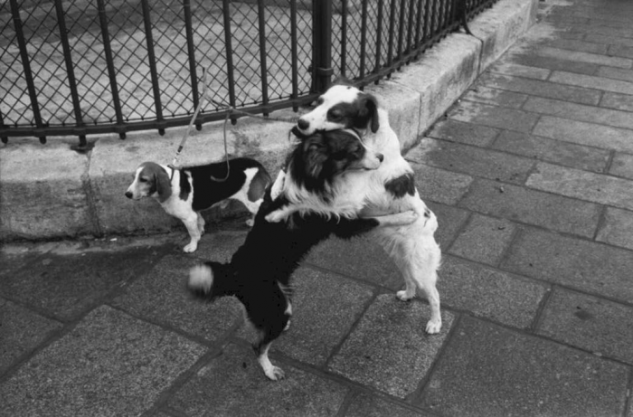 22. Paris, France, 1979