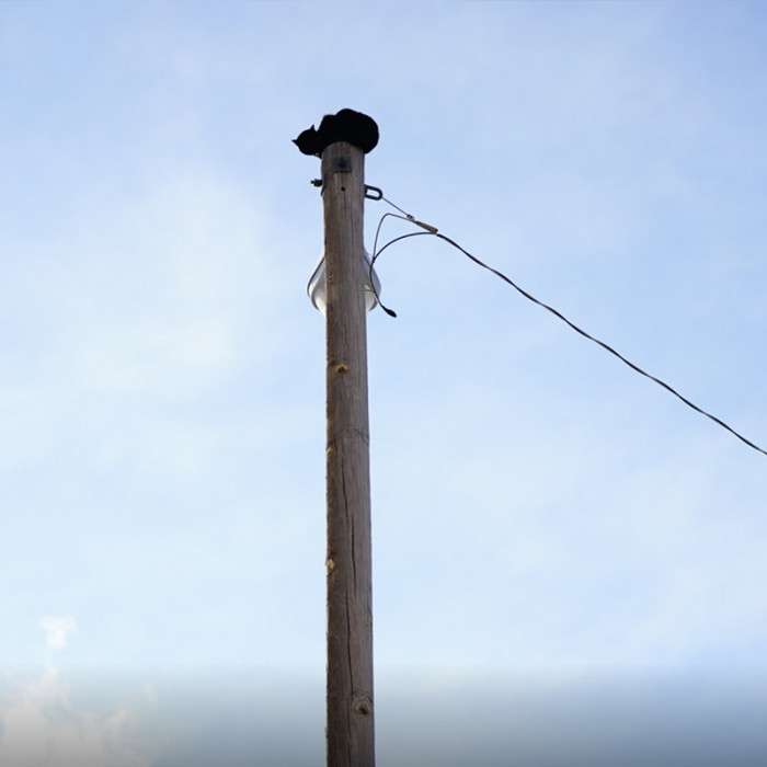 He climbed up a 36-foot pole