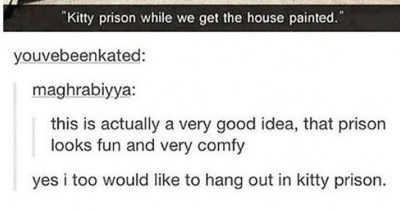 You're Going To Want To "Paws" Your Day To Check Out These Hilarious Cat Pictures