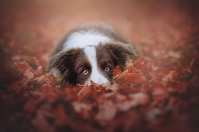 7. Autumn is Coming