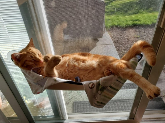 I wish I knew this level of relaxation.