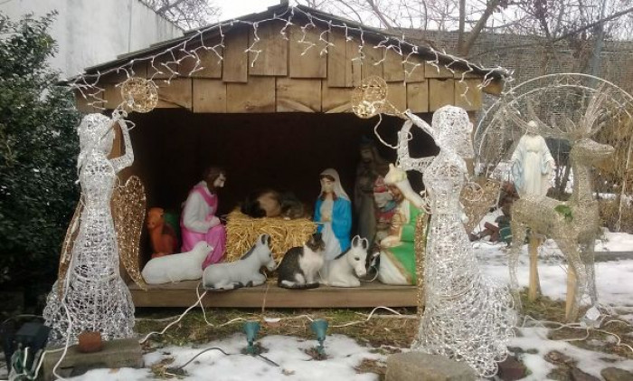 26. "Day 7: They Still Suspect Nothing"
