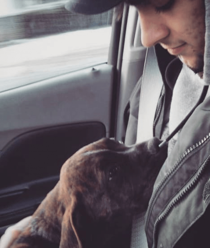 Tuckered out from so much love