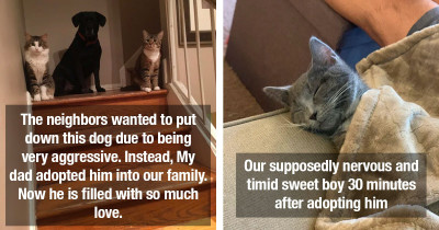 Wholesome Rescue Pet Photos That Will Completely Melt Your Heart