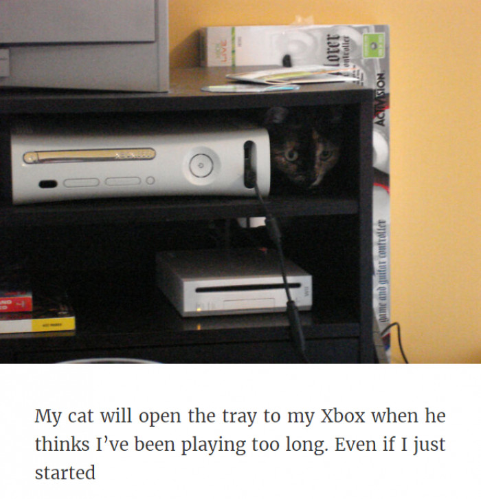 20. Wanting Some Attention