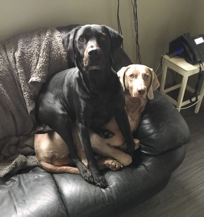 10. Nothing to see here, Sir!