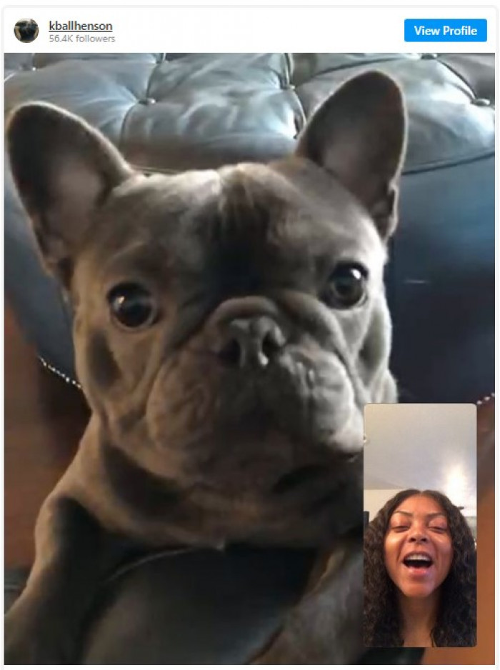 13. Taraji P. Henson and her French bulldog, K-Ball.