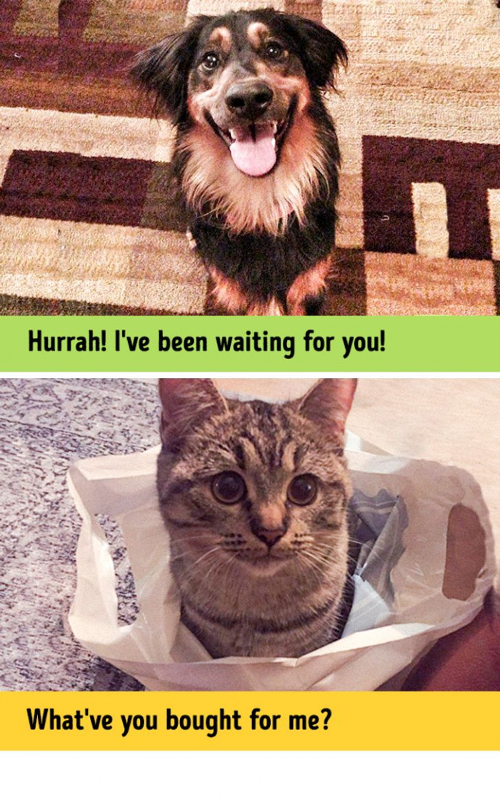 #4 The kind of welcome you get when you come home.