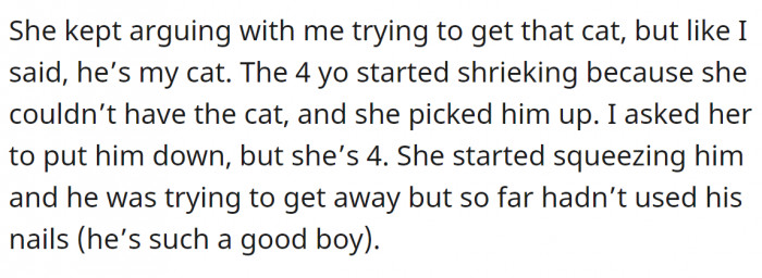 While the mother continued to argue, the child took the poor cat and squeezed him, allowing him no escape.