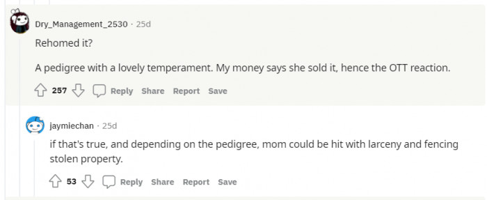 OP says that she visited the cat, so it was rehomed, but imagine if this commenter was right.