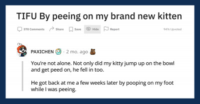 "TIFU By Peeing On My Brand New Kitten" Reddit Thread Ends Up Being Surprisingly Relatable To A Lot Of People