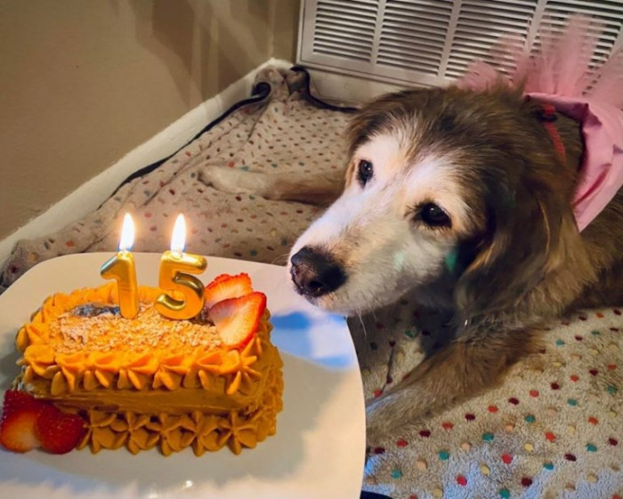 11. This cute girl is celebrating her 15th birthday today