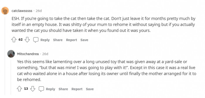 Her mom was wrong for rehoming the cat, but she was also wrong for leaving it for months.