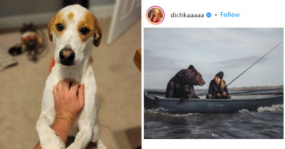 21 Photos Showing That Love Goes Beyond Any Species