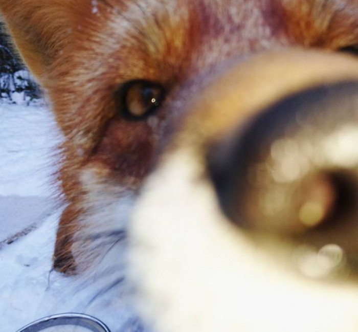 You're Talking About Me, Right?