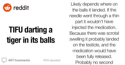 Veterinarian Darts a Tiger Right in the Nether Region and Shares Story Online, Gathers Utterly Hilarious Reactions