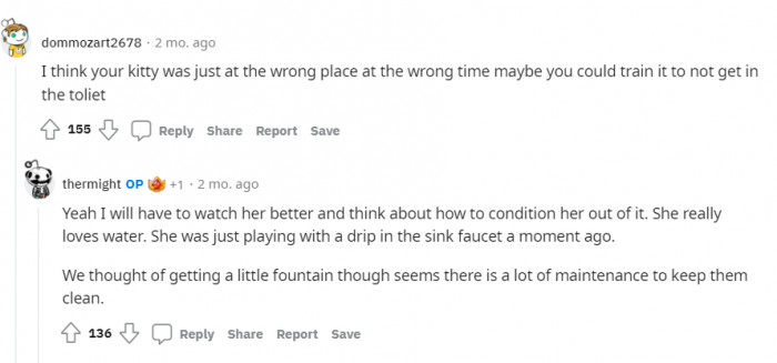 Kitty was definitely in the wrong place at the wrong time.