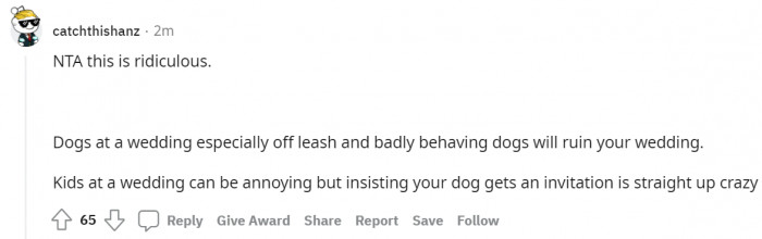 #8 Badly behaving dogs will ruin the wedding.