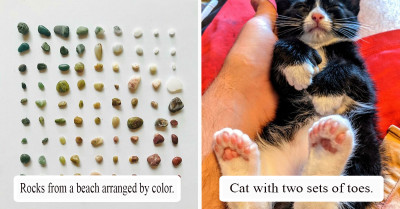 50+ Strange Yet Beautiful Things That Were Made By Mother Nature