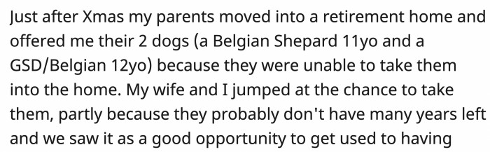Because OP's parents had to move to a retirement home, OP took it upon himself to care for their elderly dogs