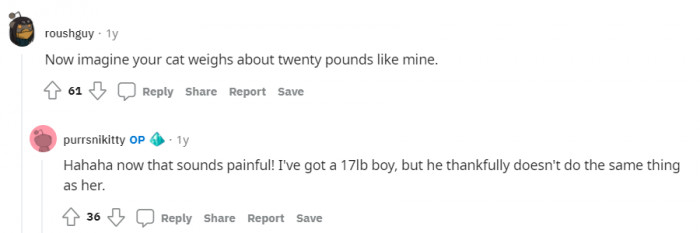 A 20-pound cat booping your nose? No, thank you.