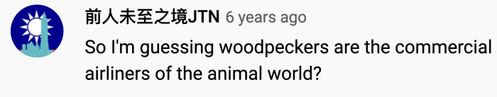 If you do what the squirrel did during a commercial flight, you'll be coming home covered in duct tape