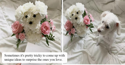 People Take Some Notes And Pamper Your Partners Exactly The Way This Boy Did