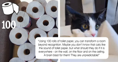 Delightful Kitty In A Room Full Of Toilet Paper Is The Definition Of Happiness