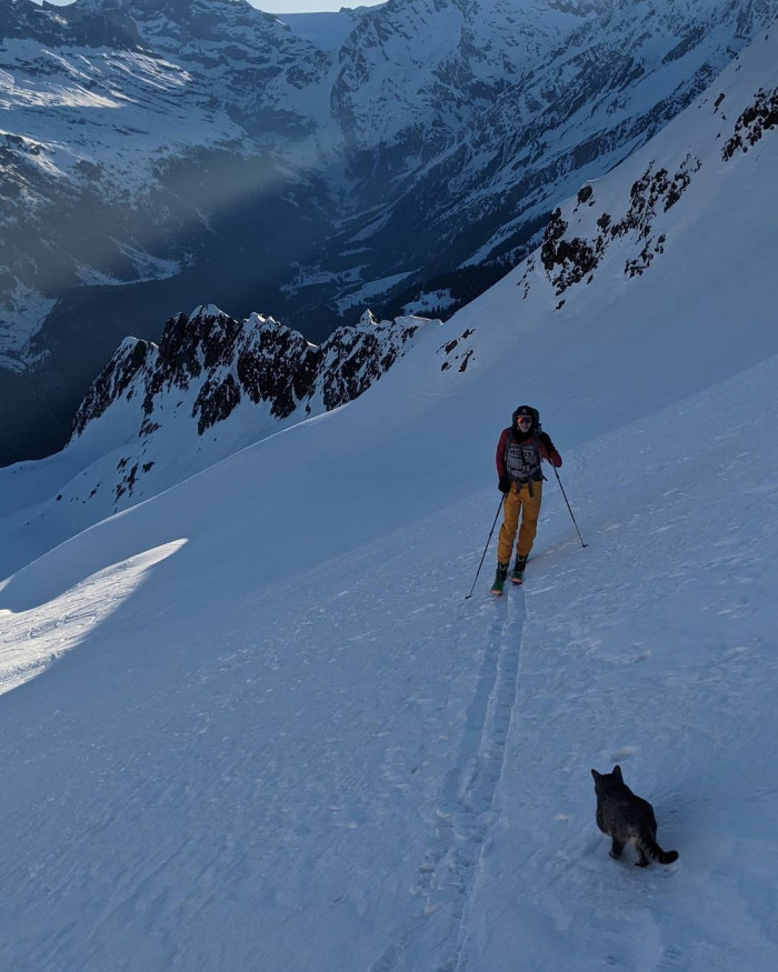 Two men were hiking up a mountain in Switzerland, when they heard the most surprising sound: a meow. The lost kitty joined them for the rest of their journey.