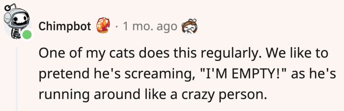 Anyone want to bet that this is what our cats are thinking about while they zoom?