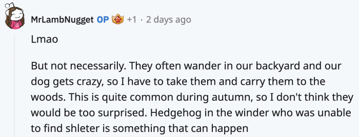 OP did defend that it was very possible for him to be outside at night catching hedgehogs based on where he lives.